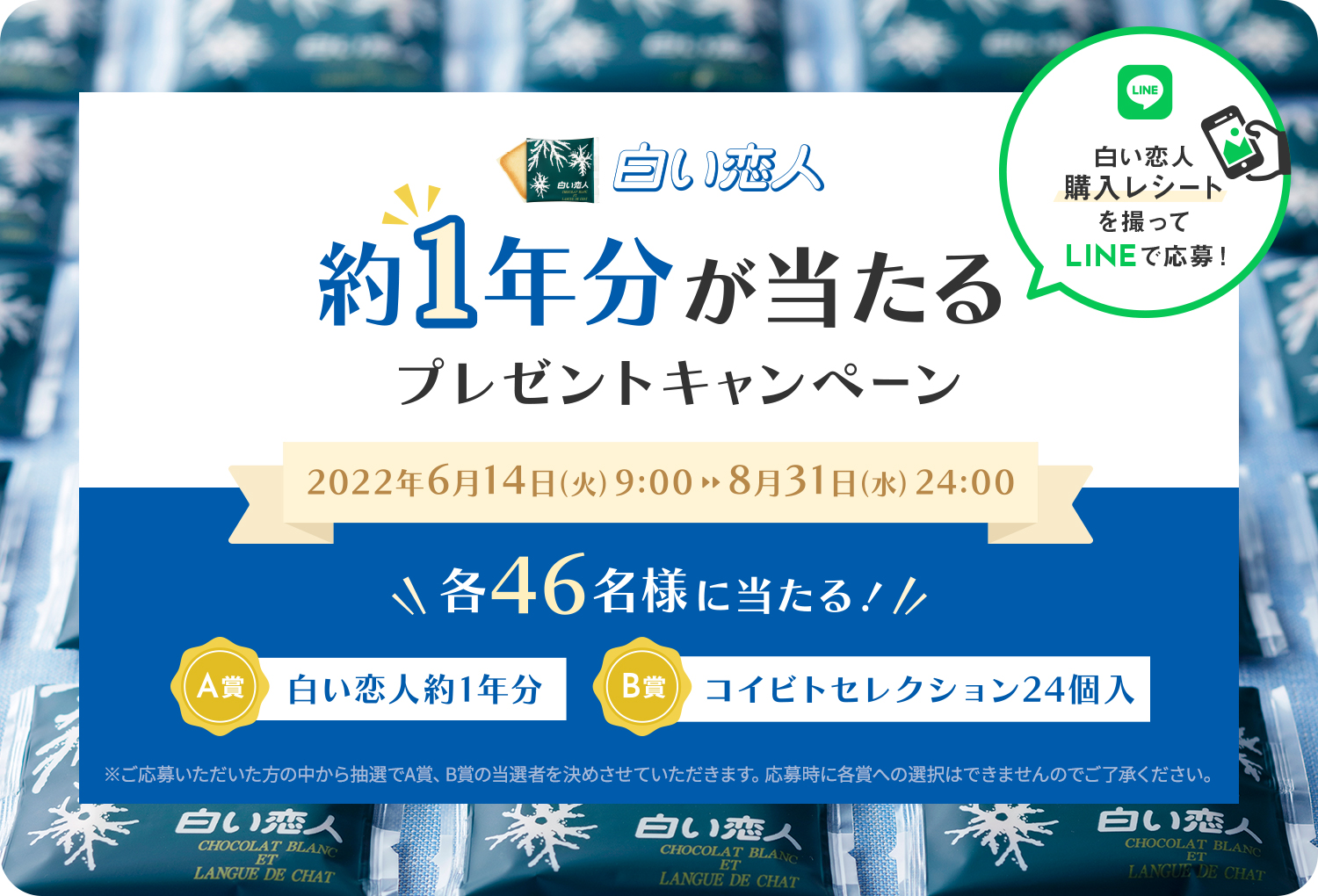 約1年分が当たるプレゼントキャンペーン