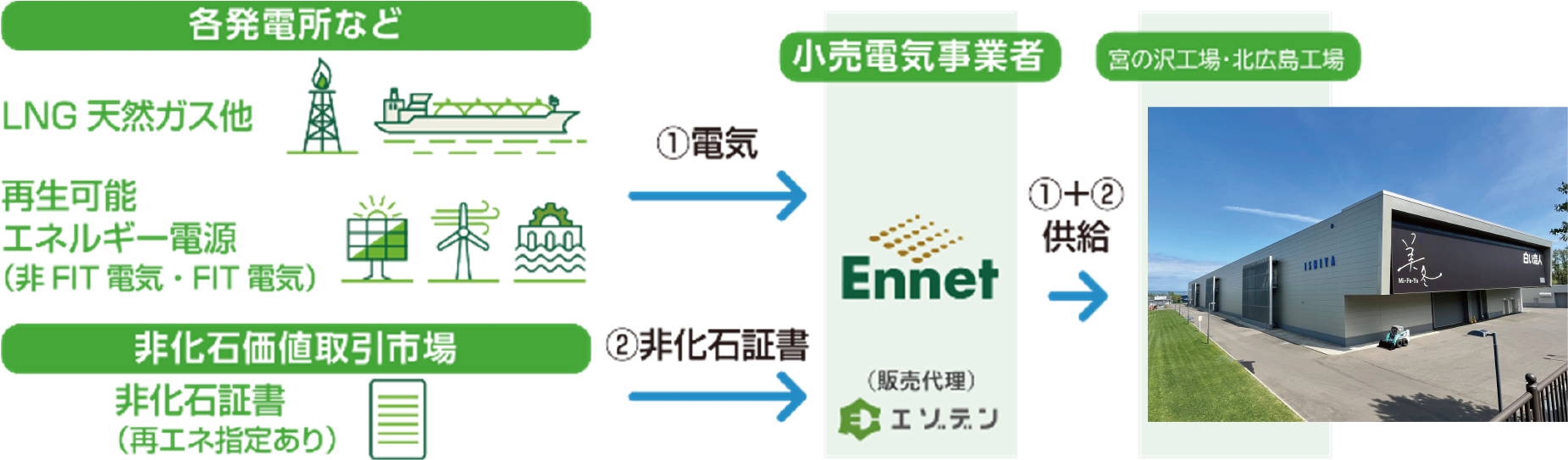 エネット図.png