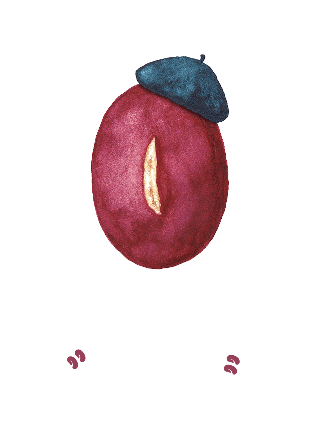 あんボヤージュ!